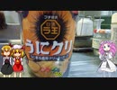 【ルーミアの食レポ】ウニ香る濃厚クリーミースープ【日清ラ王】