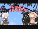【雑談】So What?（わかつきめぐみ）
