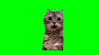 y2mate