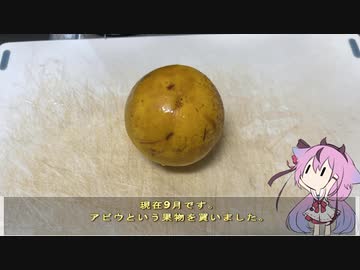 珍食材が食べたい！#179 アビウ寒天