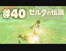 【ぽつぽつ実況 #40】盾サーフィン【ゼルダの伝説BoW】