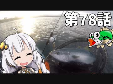 あかりちゃんと行くカヤックフィッシング第78話