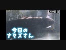 赤ちゃんなまず飼育日記 279日目