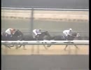 1982年　第２７回有馬記念　ヒカリデユール