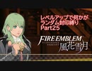 [FE風花雪月]レベルアップで何かがランダム封印_Part25[制限プレイ]
