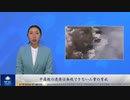 中露朝の連携は無視できない三重の脅威