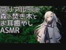 【ASMR】アリアルと森の焚き木と、お耳癒やしと。【シチュボ / 耳マッサージ】