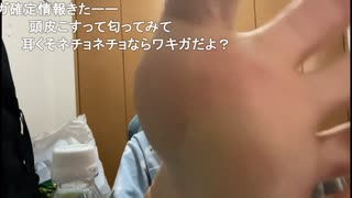 きなこまる「嗅ぐ？」