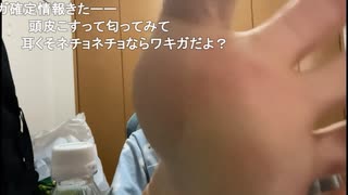 きなこまる「嗅ぐ？」