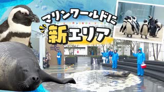 アザラシやペンギンが間近に　「マリンワールド海の中道」新エリアオープン　福岡市東区