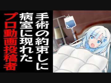 プロ動画投稿者のずんだもんが炎上したら手術を受ける約束をした雪さん