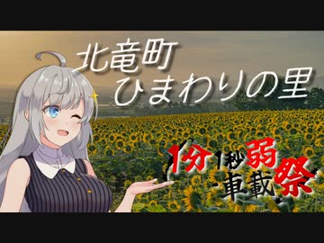 早天のひまわり【1分1秒弱車載祭】