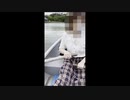 水面の黙示録　「いる。」～怖すぎる投稿映像13本～Vol.40