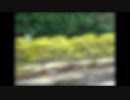 おいでおいで　「いる。」～怖すぎる投稿映像13本～Vol.40