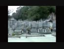 のっぽ村　「いる。」～怖すぎる投稿映像13本～Vol.40