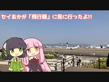 セイあかが「飛行機」を見に行ったよ!!