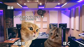 【猫ミーム】作曲初心者がメジャーレーベルのオーディションの最終審査まで進んで人生初めて人前でオリジナル曲を歌った話