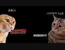 世界の終わりを探索する 番外編2