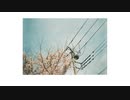 霞草 - 初音ミク