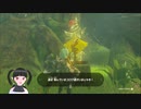 【ゼルダの伝説】周回遅れのティアキン Part101【TotK】