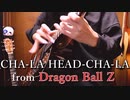 「CHA-LA HEAD CHA-LA」アコギでロックしてみた