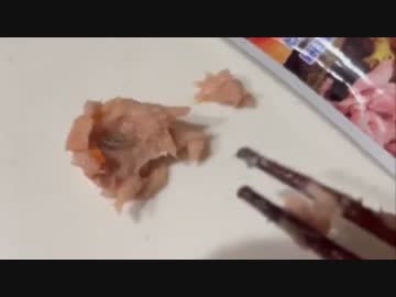 ホモと見る女vsツナ