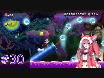【マリオ】初スーパーマリオでピーチ救出作戦#30