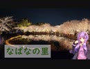 なばなの里 & 里の湯【ぶらり日帰り旅行】