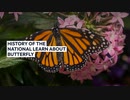 National Learn About Butterfly Day