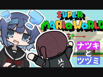 【ナツキとツヅミ】記憶を消してもう一回やりたいゲーム、記憶を消してみた！【マリオワールド】