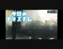 赤ちゃんなまず飼育日記 281日目