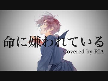 生きたくなかった自分に向けて歌いました。『命に嫌われている。／歌ってみた』【オリジナルMV】〖歌コレ2024春ルーキー〗