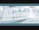 YOUKAI SHIOMIBASHI ZONE