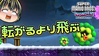 【SUPER MARIO BROS. WONDER #32】転ばぬ先の杖【ゆっくり実況】