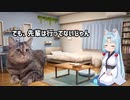 第294位：【猫ミーム】高校受験