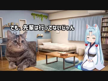 【猫ミーム】高校受験