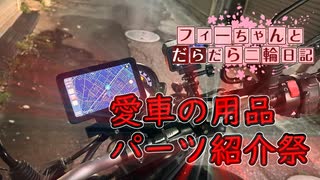 【愛車の用品・パーツ紹介祭】フィーちゃんとだらだら二輪日記　カエディアスマートモニター