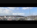 DEAD KANEKO