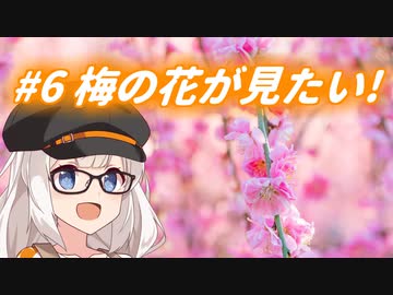 あかりちゃんだってドライブしたい！#6 梅の花が見たい！