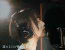 理想論 / CO2【歌ってみた】