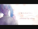 【歌コレ2024春】篝火のように/ covered by niray