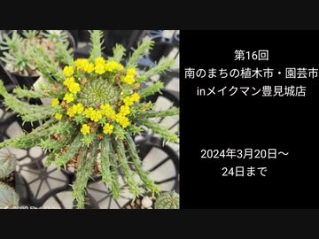 第16回南のまちの植木・園芸市 初日の様子