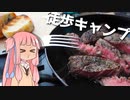 【琴葉茜】徒歩キャンプ実況 #9【冬キャン納】