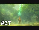 【ゆっくり実況】ゼルダの伝説BotW 4縛り#37