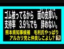 24・3・21夜　政党をぶっ潰せ。政党など要らん！政治に命をかける政治家を求めている。