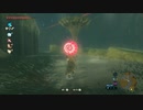 ゼルダの伝説　ブレス オブ ザ ワイルド　実況プレイPart225