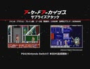 2024年 03月中　アーケードアーカイバー ( サプライズアタック )