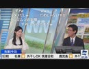 【大島璃音】ダンゴムシ探し配信の告知で12分(概要欄にURLあり)【山口剛央】