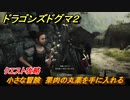 ドラゴンズドグマ２　小さな冒険　果肉の丸薬を手に入れる　クエスト攻略　＃７　【Dragon's Dogma2】