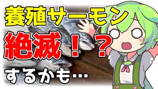 【ずんだもん解説】世界中のサーモンが8億6500万匹〇滅している件について解説